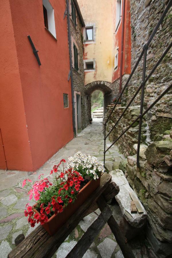 Borgo Di Codeglia - Country Rooms Ricco del Golfo di Spezia Luaran gambar